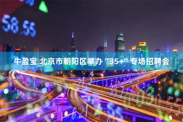 牛盈宝 北京市朝阳区举办“35+”专场招聘会