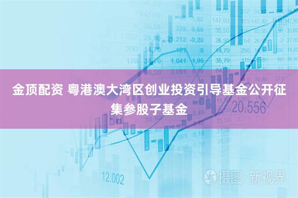 金顶配资 粤港澳大湾区创业投资引导基金公开征集参股子基金